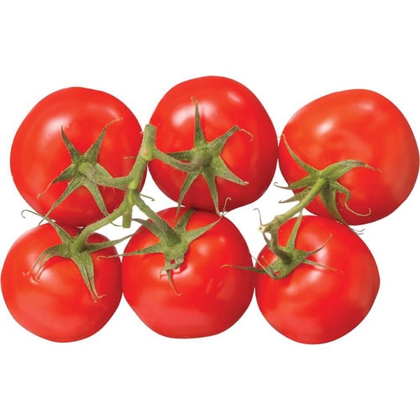 trostomaten voorkant