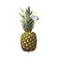 ananas voorkant