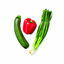 courgette voorkant