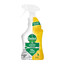 Dettol Allesreiniger Citrus spray voorkant