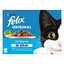 Felix Original vis selectie in gelei voorkant