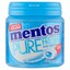 Mentos Kauwgom Bottle Pure Freshmint voorkant