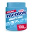 Mentos kauwgom Gum Mighty Mint, Pot 100 Gums voorkant