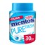 Mentos kauwgom Gum Pure Fresh – Fresh Mint, Pot 30 Gums voorkant